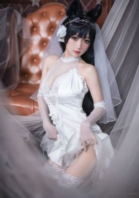 精英律师电视剧全集免费观看_正片免费观看
